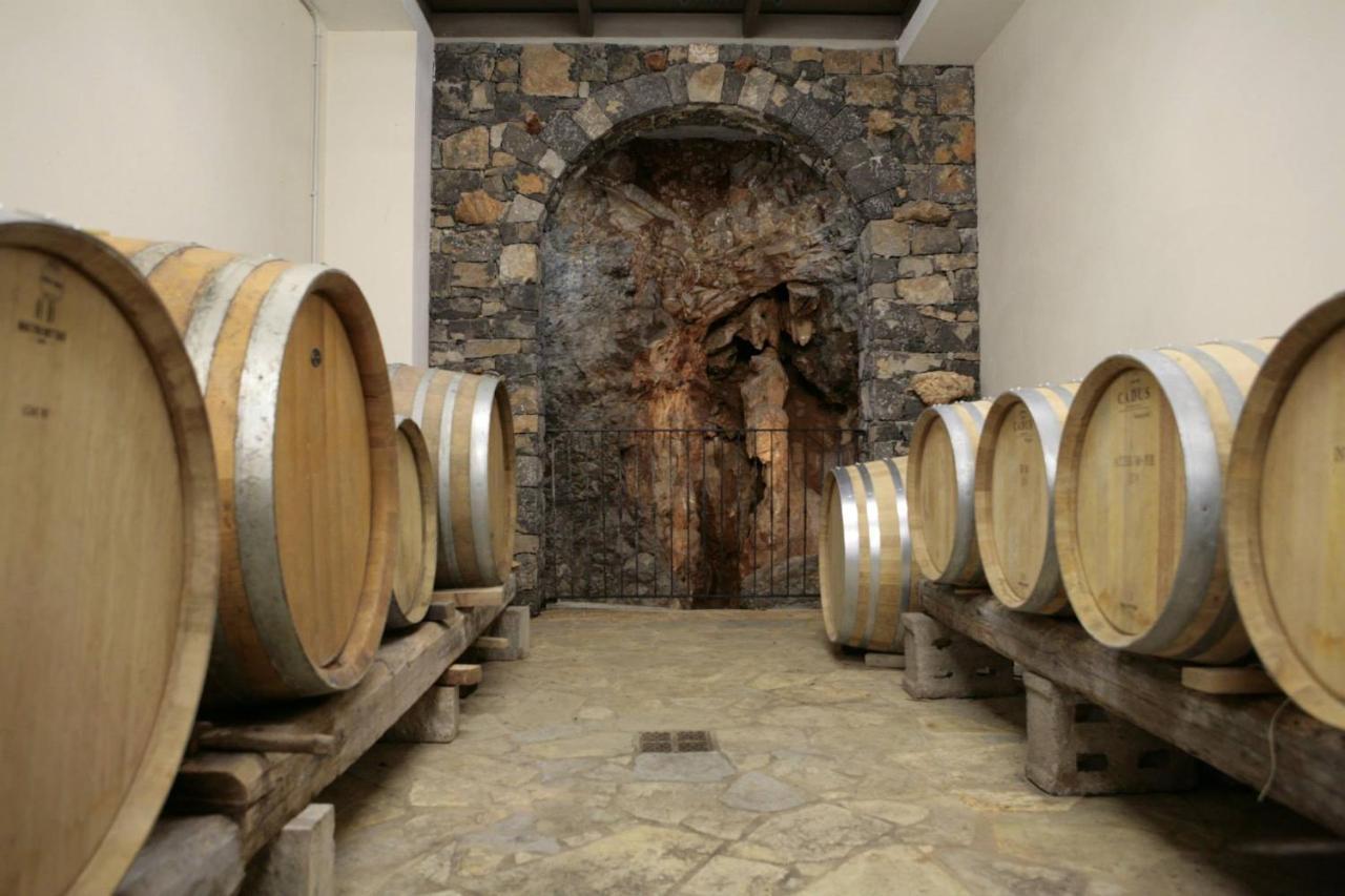 Cardo Boutique&Wine Resort Malchina Eksteriør billede