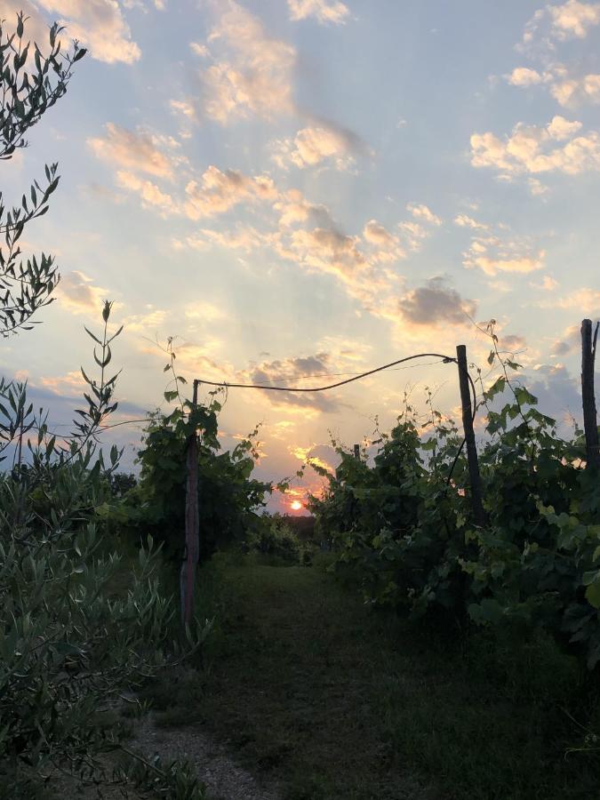 Cardo Boutique&Wine Resort Malchina Eksteriør billede
