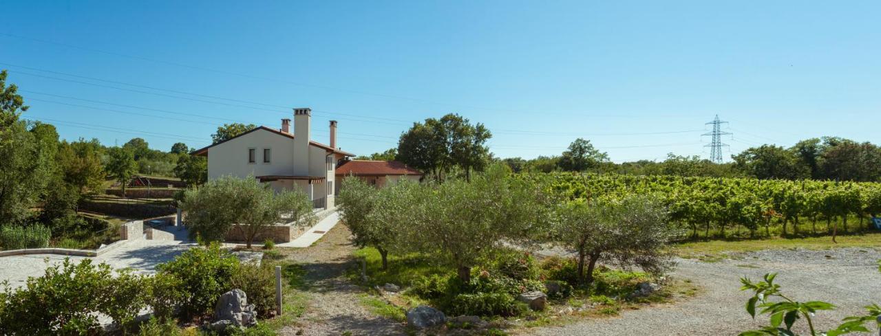Cardo Boutique&Wine Resort Malchina Eksteriør billede