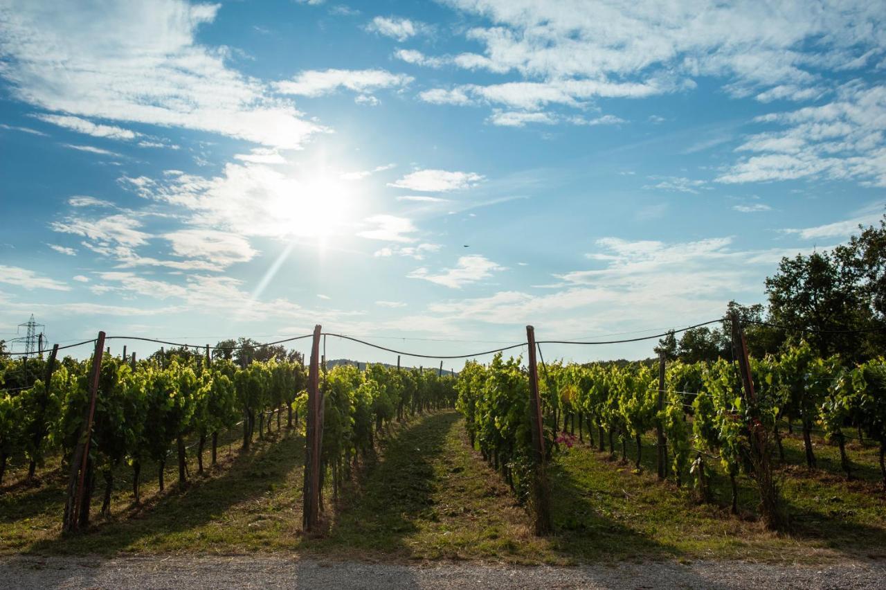 Cardo Boutique&Wine Resort Malchina Eksteriør billede