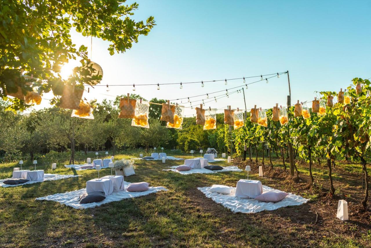 Cardo Boutique&Wine Resort Malchina Eksteriør billede