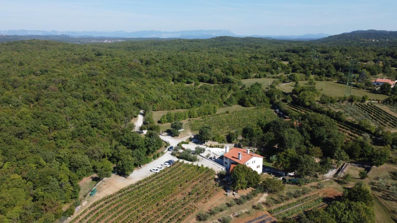 Cardo Boutique&Wine Resort Malchina Eksteriør billede
