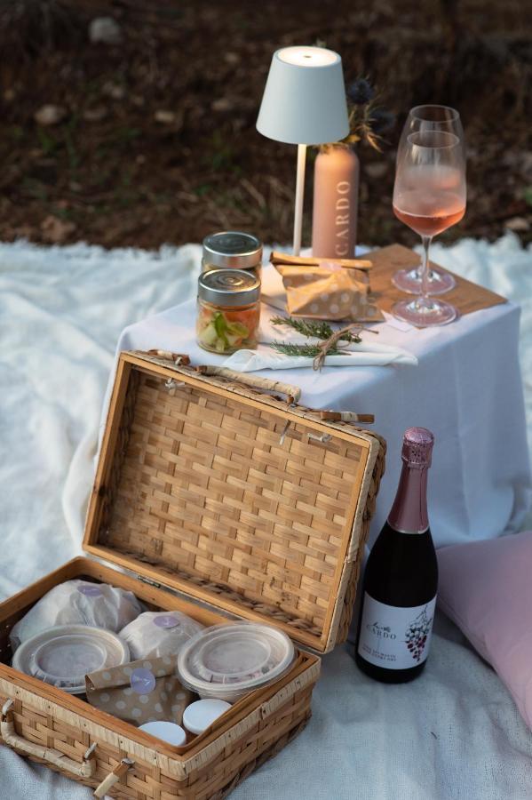 Cardo Boutique&Wine Resort Malchina Eksteriør billede