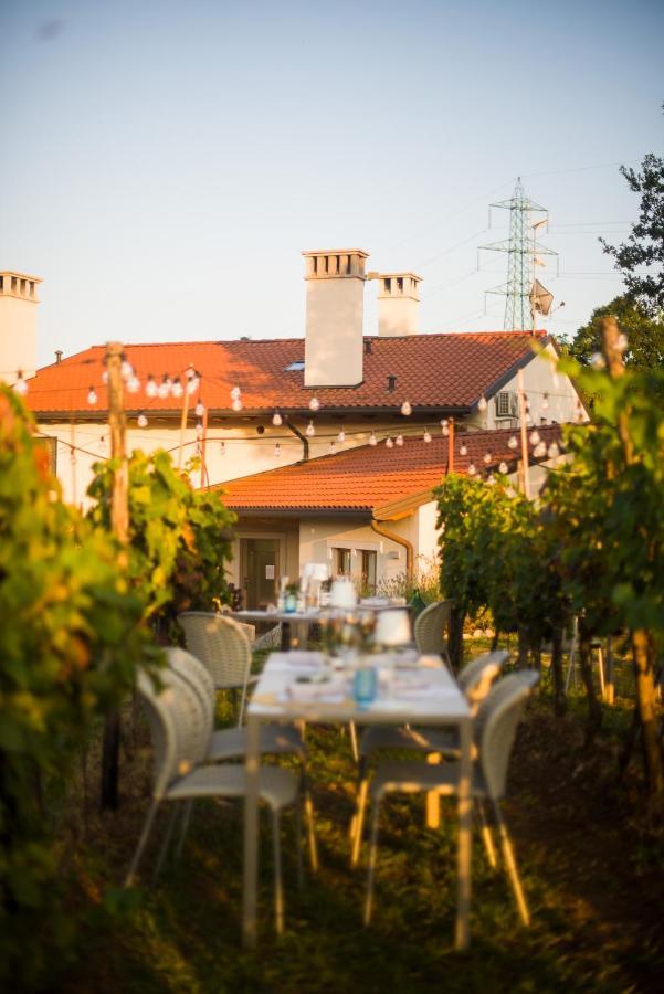 Cardo Boutique&Wine Resort Malchina Eksteriør billede