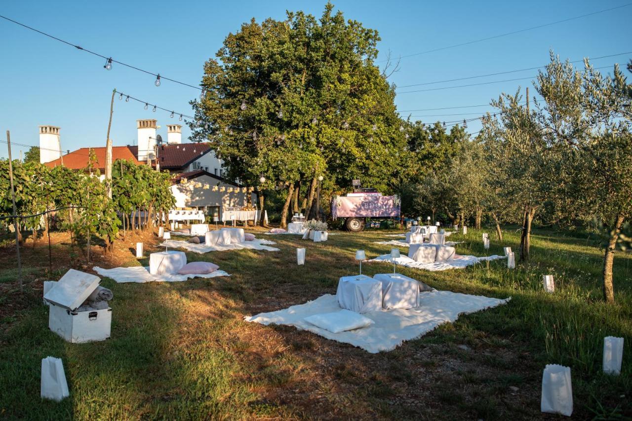Cardo Boutique&Wine Resort Malchina Eksteriør billede