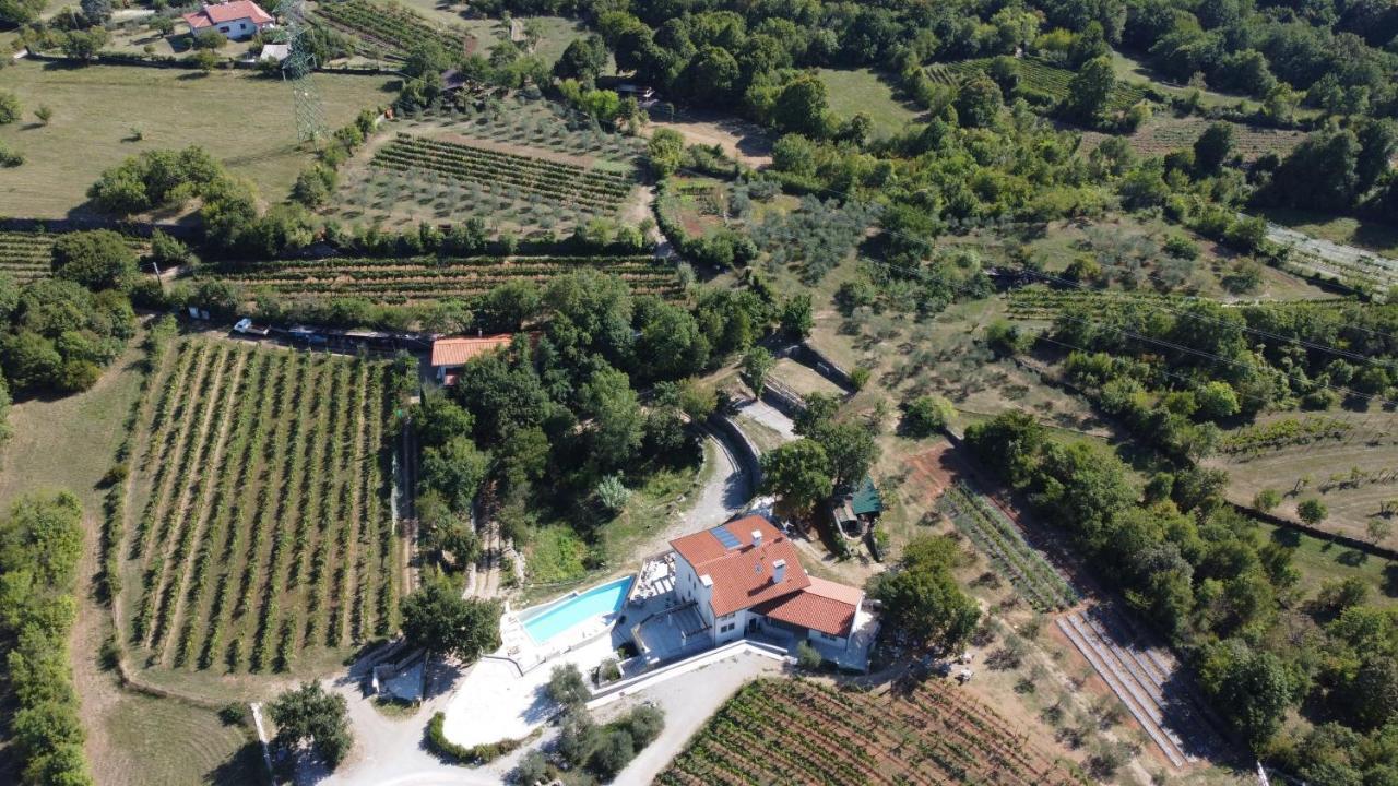Cardo Boutique&Wine Resort Malchina Eksteriør billede